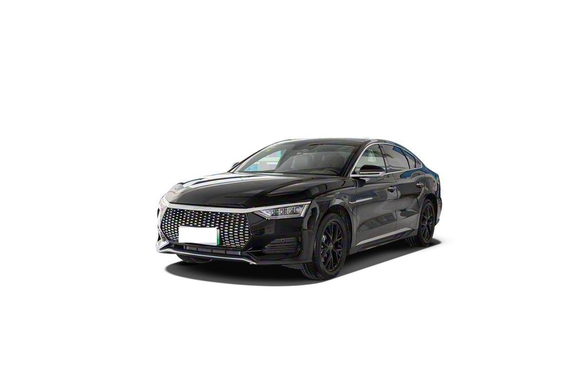BYD e9